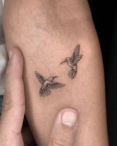 a person holding their arm with two small birds on it