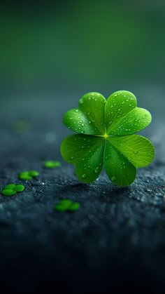 a four leaf clover sitting on the ground