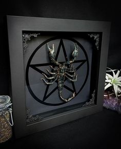 a black frame with an insect in the center and a pentagramil on it