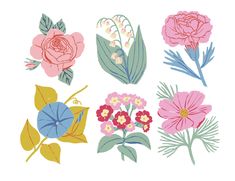 an assortment of flowers are shown on a white background, including pink and blue blooms