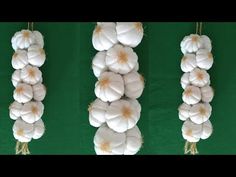 three rows of garlic hanging from strings on a green background