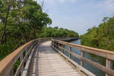 a wooden bridge over water with trees on both sides and a walkway leading to the other side