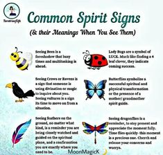 Spirit Animal Meaning, Spirit Signs, Spirit Messages, Spiritual Psychology, Spiritual Awakening Signs, Magic Spell Book