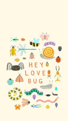 the words hey love bug are surrounded by bugs and other insect life objects on a white background