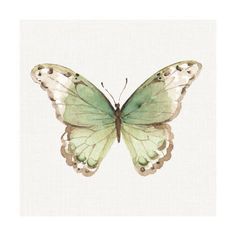 a green butterfly sitting on top of a white surface