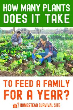 two people working in a garden with the words how many plants does it take to feed a family for a year?