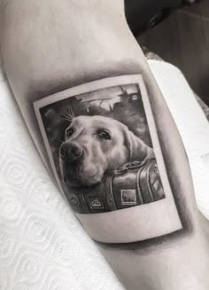 a black and white photo of a dog on the arm