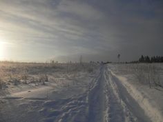 the sun shines brightly in the distance over a snow covered field with trees and bushes