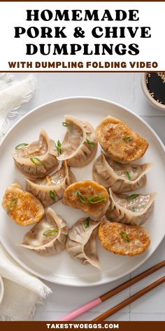 homemade pork and chive dumplings on a white plate with chopsticks next to it