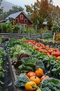 many different types of vegetables in a garden