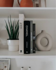 some books are sitting on a shelf next to a potted plant and other items