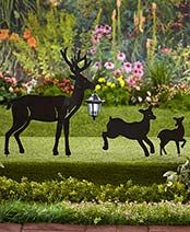 a group of deer standing on top of a lush green field