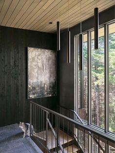 a cat sitting on top of a wooden floor next to windows