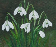 a painting of snowdrops in a vase on a green tablecloth with black background