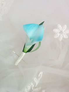 a blue flower on top of a white cloth