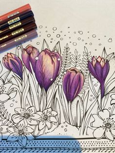 some pencils sitting on top of a drawing book with flowers and plants in the background