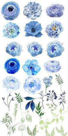 blue flowers and leaves are arranged on a white background