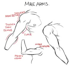 an image of male arms and shoulders with the names in red ink on white paper