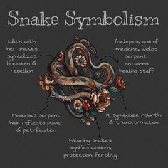 the snake symbol is shown in this graphic style, with words describing snakes and their meanings