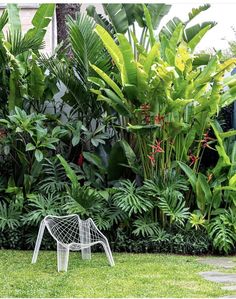 a white chair sitting in the middle of a lush green yard with lots of plants