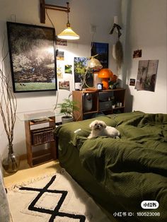 a small white dog laying on top of a bed in a room with green sheets