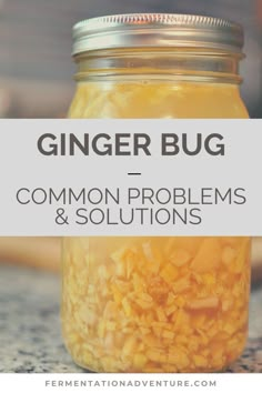 a glass jar filled with food and the words, ginger bug common problems & solutions