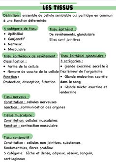 the words in french and english are highlighted on this page, which shows what they mean to