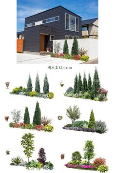 various types of trees and shrubs in front of a house