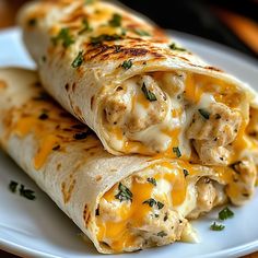 two quesadillas on a white plate with cheese and chicken in the middle