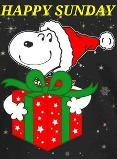 a snoopy christmas shirt with a dog in a santa hat holding a present box