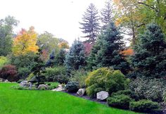 a lush green lawn surrounded by trees and rocks