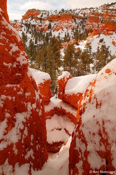 snow covered rocks and trees in the distance