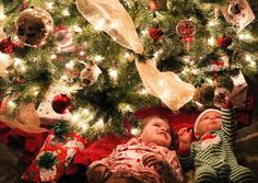 two babies laying in front of a christmas tree