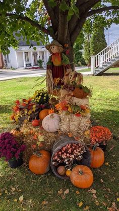 a scarecrow sitting on top of a pile of hay next to pumpkins and gourds