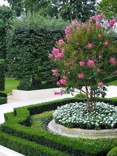 a garden filled with lush green trees and white flowers