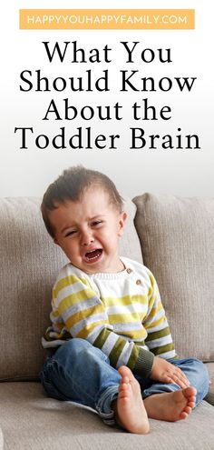 a toddler sitting on a couch with the words what you should know about the toddler brain