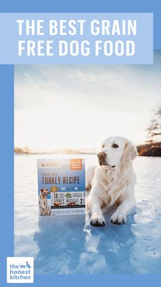 a dog sitting in the snow with a book on it's lap and text that reads, the best grain free dog food