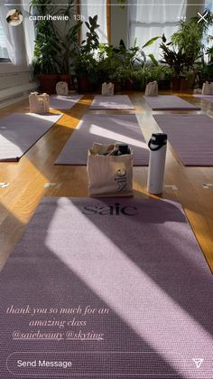 yoga mats are lined up on the floor in a room with windows and potted plants