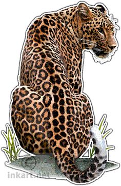 a drawing of a leopard sitting on the ground