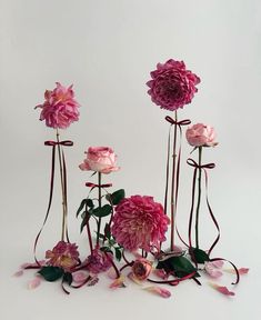 three pink flowers with green leaves and stems on a white background, in the middle is an arrangement of petals