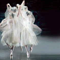 three ballerinas in white tulle skirts are dancing