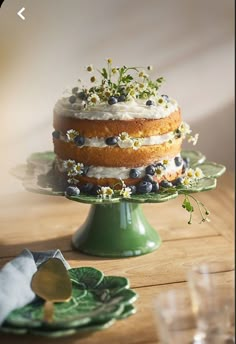 a cake sitting on top of a green plate covered in frosting and blueberries