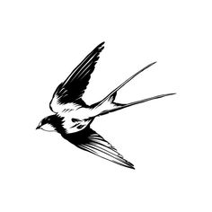 a black and white drawing of a bird flying in the air with its wings spread