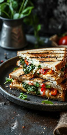 a grilled cheese and vegetable sandwich on a plate