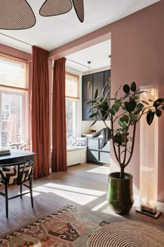 a living room filled with furniture and a large potted plant next to a window