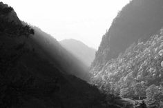 black and white photograph of mountains with trees in the foreground on a foggy day