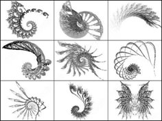 six different types of spirals and flowers in black and white, each with an individual's own image