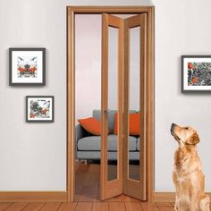 a dog sitting in front of an open door with pictures on the wall behind it