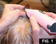 a person is cutting another persons hair with a pink blow dryer