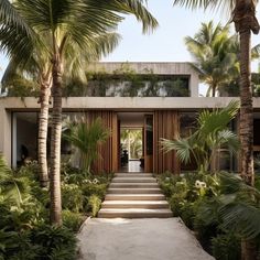 an entrance to a house surrounded by palm trees and greenery with stairs leading up to it